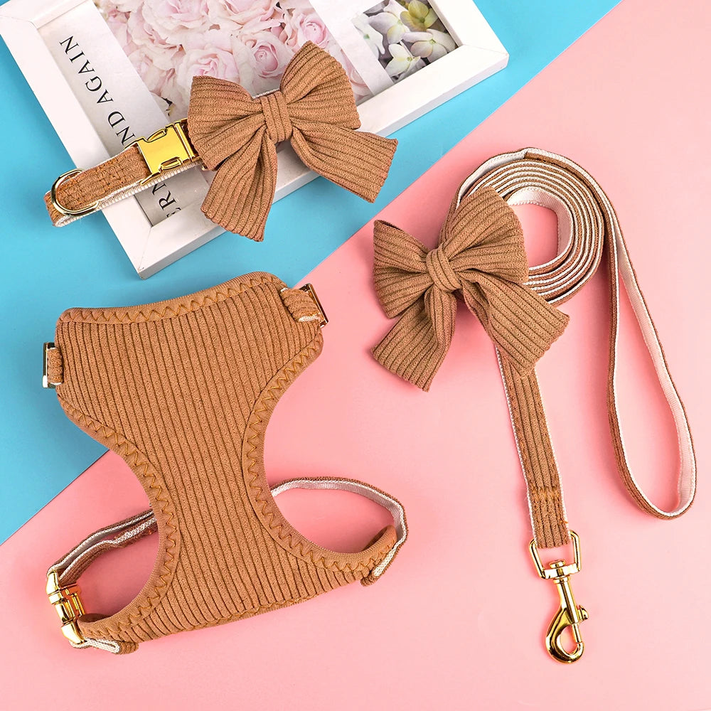 Ein Set aus drei braunen Hundehalsbändern und einer Leine auf rosa Hintergrund.