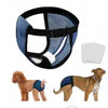 A reusable washable dog diaper with absorbent pads shown next to two female dogs.