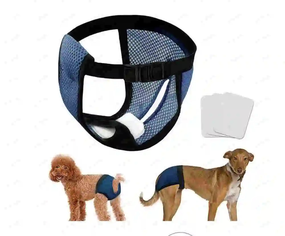 A reusable washable dog diaper with absorbent pads shown next to two female dogs.