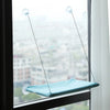 A light blue hanging cat hammock suspended by suction cups in a window setting.