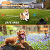 A dog is being trained using a remote collar that generates beeep vibration and shock for dog training.