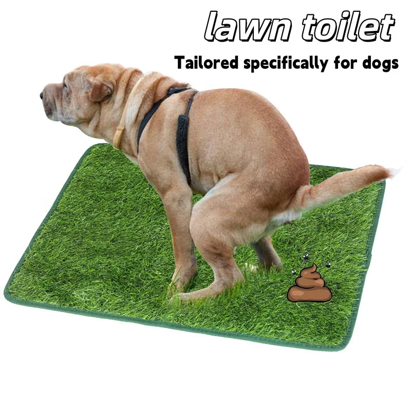 Ein hellbrauer Hund steht auf einer grünen, künstlichen Rasenmatte, die als Hundekottoilette dient.
