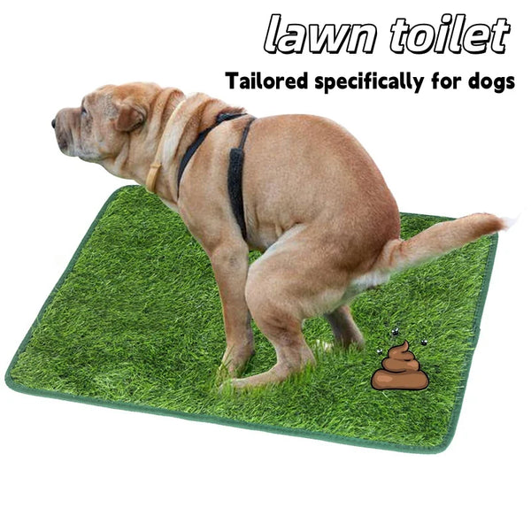 A light brown dog is standing on a green artificial grass mat designed as a lawn toilet for dogs.