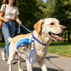 A light-colored dog is walking on a path, wearing a blue pet water bottle with a lanyard.