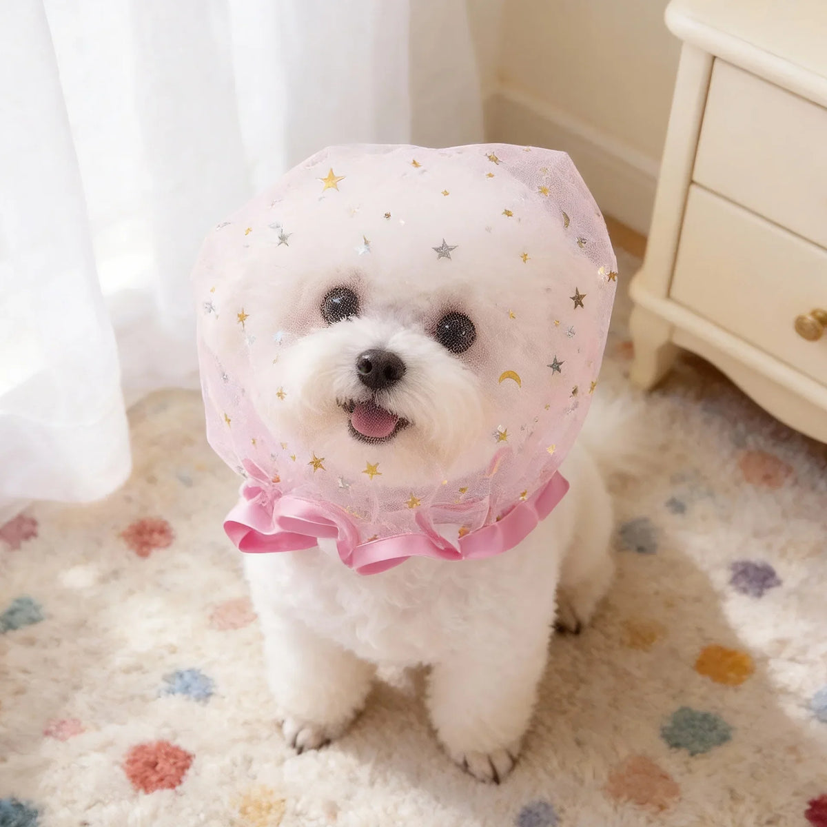 Un perro blanco con collar de malla rosa y estrellas doradas, sentado sobre una alfombra clara.