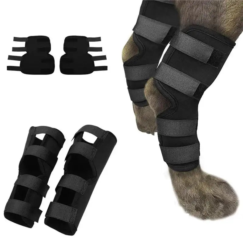 Correas de apoyo para la rodilla de mascotas negras para la recuperación de articulaciones caninas, mostradas en varias forma