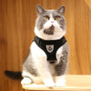 A gray and white cat wearing a black harness with a silver paw print emblem.