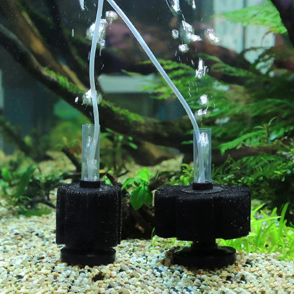 Un filtre sponge biologique noir avec de l'eau projetée par une pompe à air dans un aquarium.