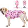 Un chien de couleur claire portant une tenue de récupération à motifs de fraises roses et rouges avec des poignées attachées.