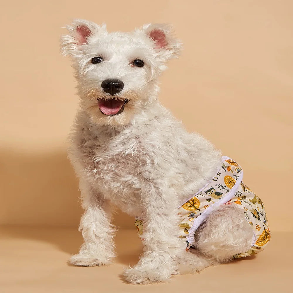 A fluffy white dog wearing reusable female physiological panties with a floral pattern.
