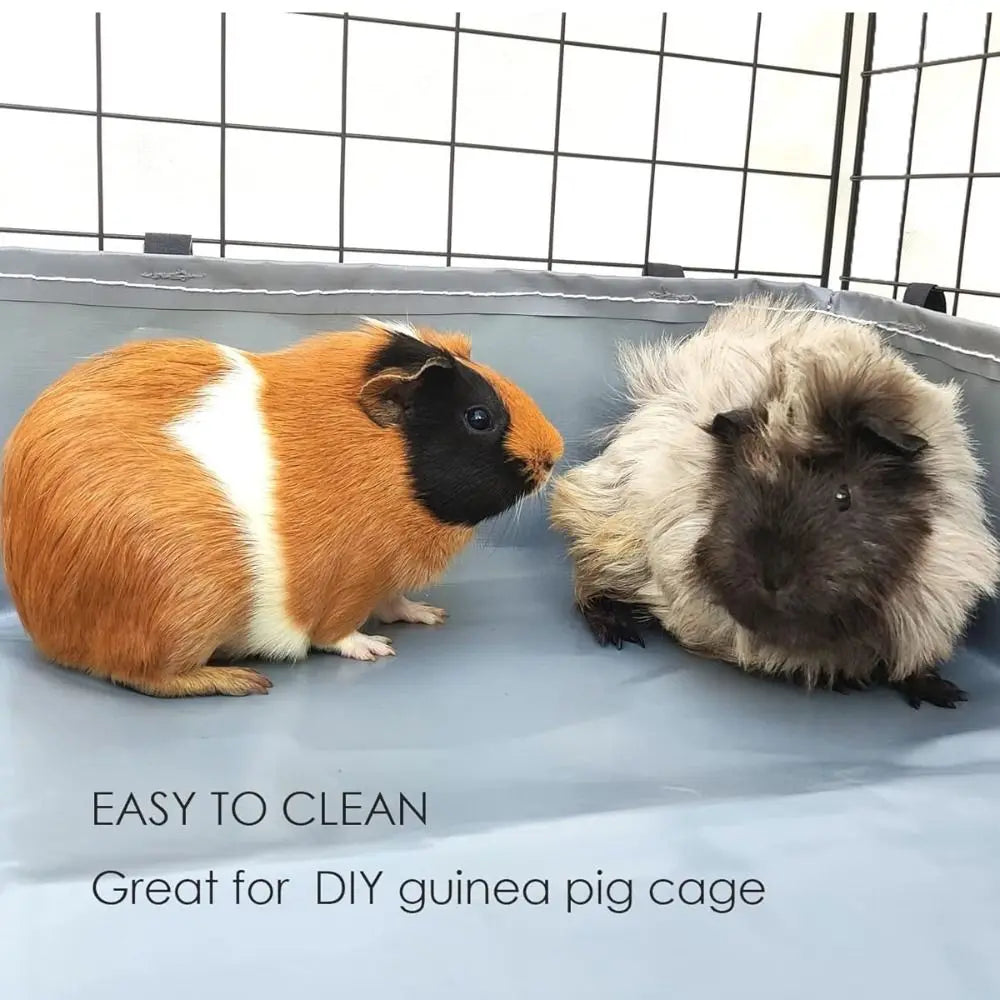 Un sous-lit bleu clair pour cage de guineapot, montrant deux animaux de compagnie duveteus.