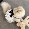 A fluffy cream-colored cat wearing a white dress with black polka dots and a black bow.