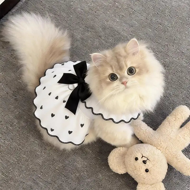 A fluffy cream-colored cat wearing a white dress with black polka dots and a black bow.