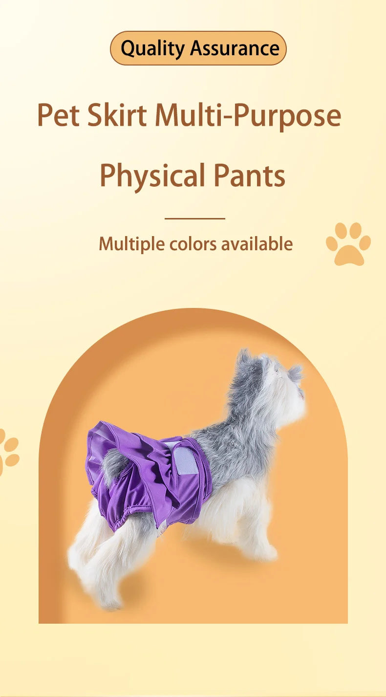 A gray dog is wearing a purple multi-purpose physical pants or skirt for pets.
