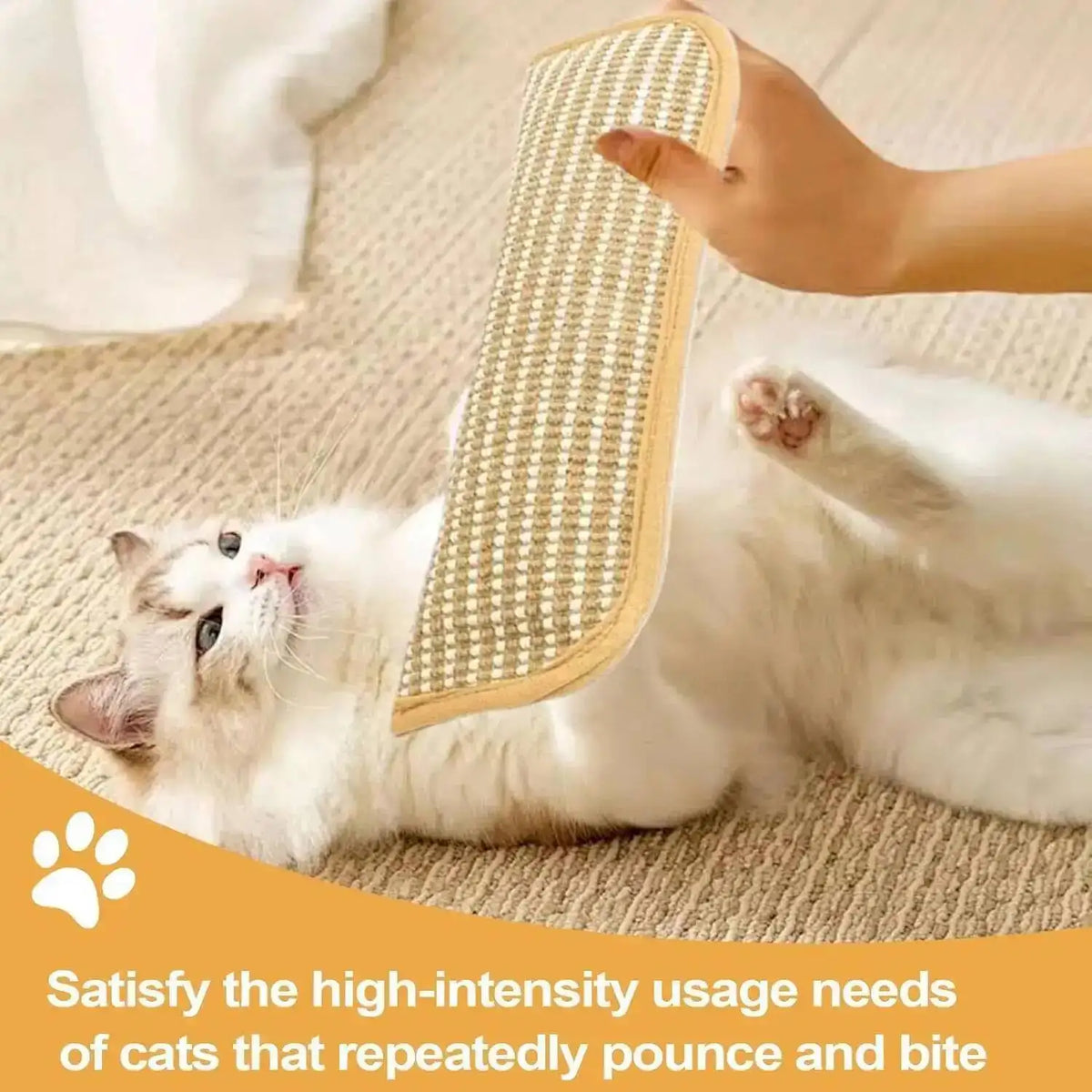 A white cat is using an interactive scratcher toy designed to satisfy the high-intensity usage needs of cats.