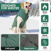 A golden retriever wearing a green winter coat outdoors in the snow, highlighting its cold-proof and warm features.