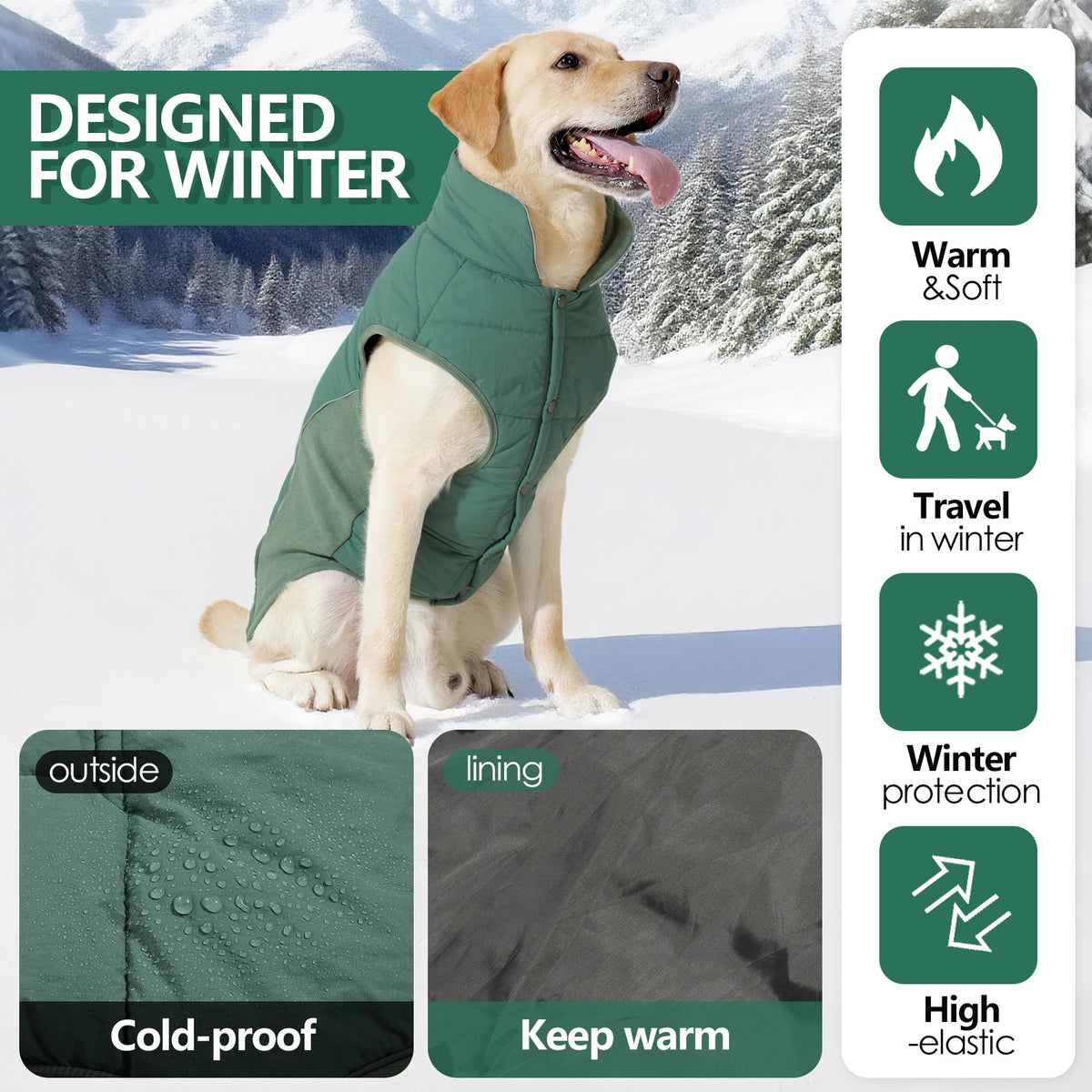 A golden retriever wearing a green winter coat outdoors in the snow, highlighting its cold-proof and warm features.