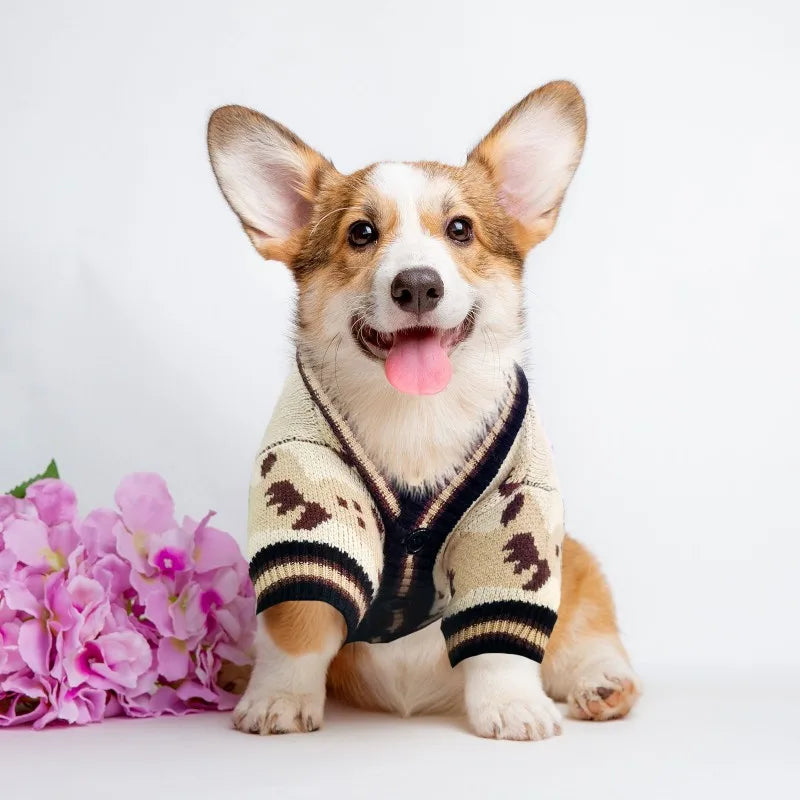 A happy dog wearing a beige knit sweater with a brown bear pattern, sitting on a white surface.