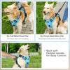 A pet wearing a blue harness with a soft padded handle for easy control.