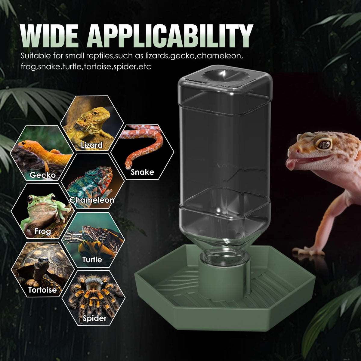 A clear water dish designed for small reptiles like lizards, snakes, turtles, and spiders.
