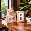 A light orange cat sits next to three wooden frames displaying paw print silhouettes on white backgrounds.