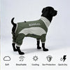 A dark brown dog wearing a olive green summer cooling suit with a white collar and leg protection.