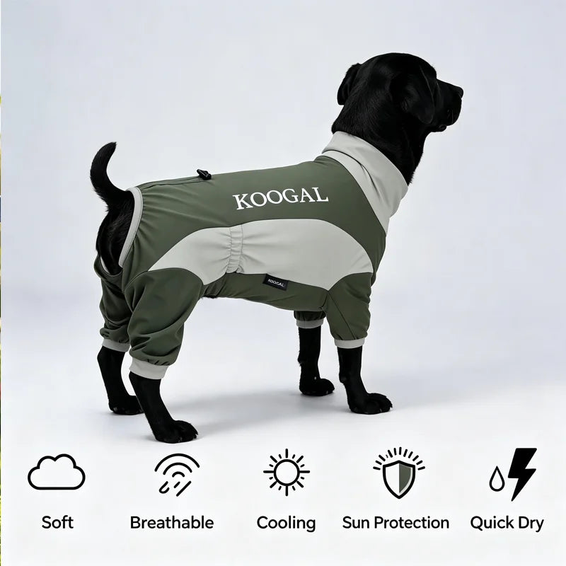 A dark brown dog wearing a olive green summer cooling suit with a white collar and leg protection.