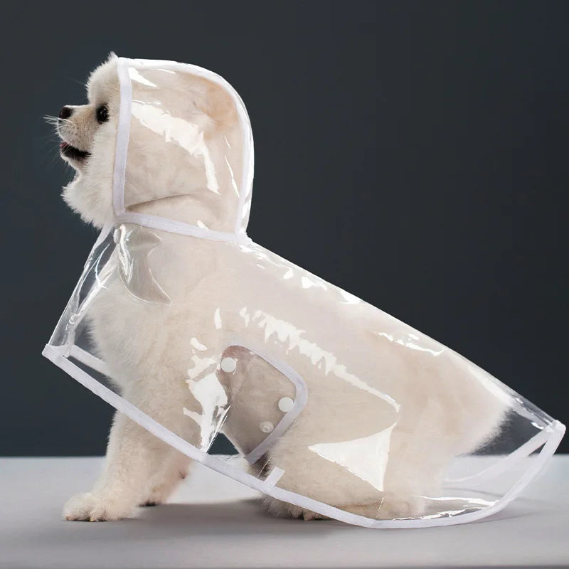 Ein helles Hund, der einen klaren, wasserdichten Regenmantel trägt, um ihn trocken zu halten.