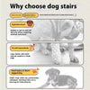 Diagram showing why to choose dog stairs for aged pets, pets with injured limbs, and short-legged dogs.