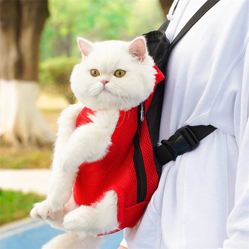 A white cat is sitting inside a red carrier backpack being held by a person outdoors.