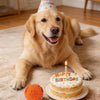A golden retriever sits next to a birthday cake and a smart pet ball with a party hat.