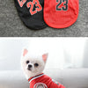 Ein weißer Hund in einem rot-schwarzen Chicago-inspirierten Hundekleid und Trikot.