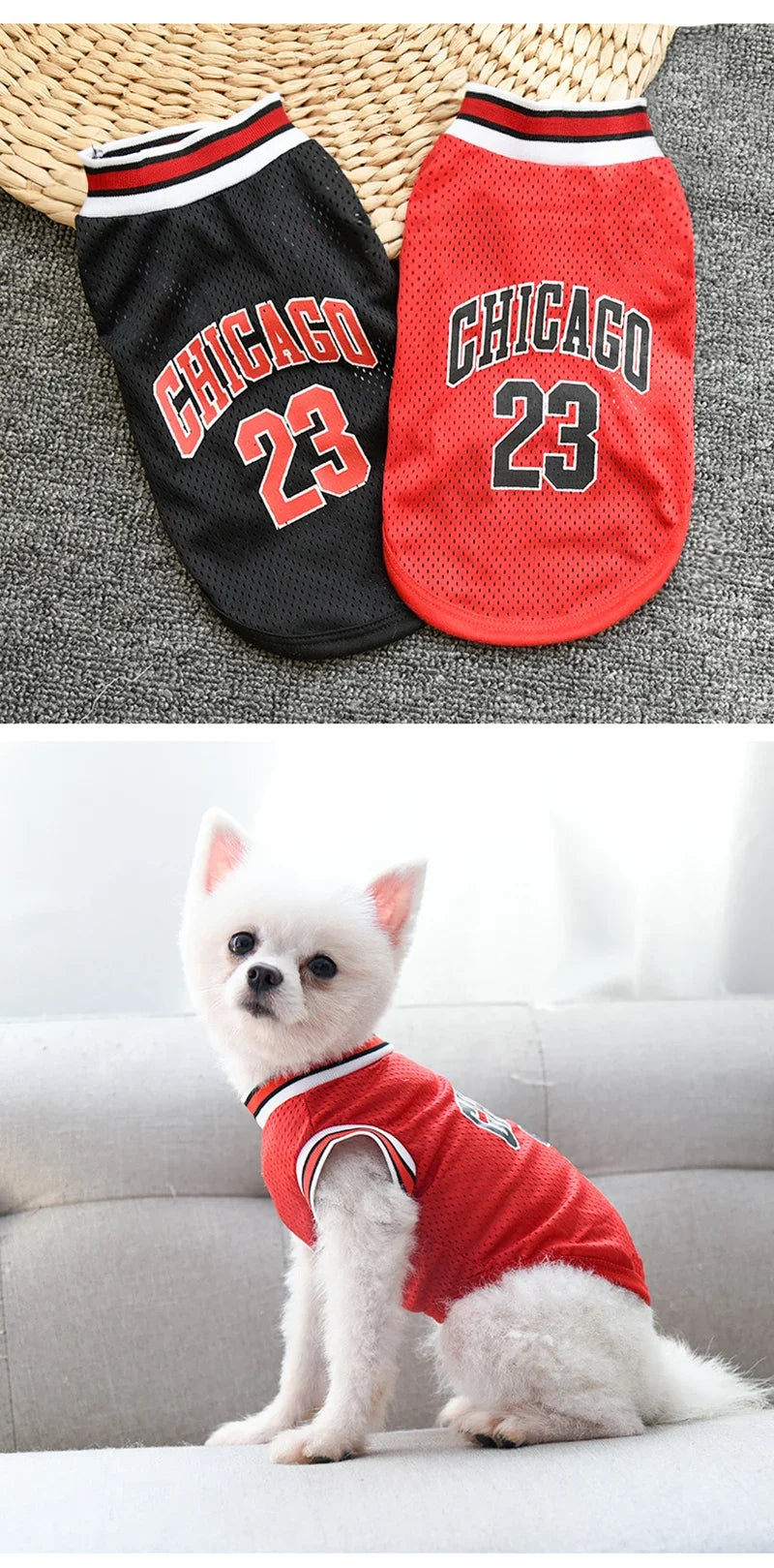 Ein weißer Hund in einem rot-schwarzen Chicago-inspirierten Hundekleid und Trikot.