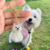 Un porte-clés transparent pour poils d'animaux en forme de chien est tenu dans une main à l'extérieur.