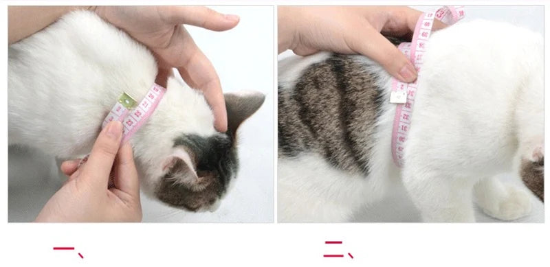 A white puppy is shown with a pink measuring tape placed on its fur, demonstrating an adjustable nylon pet harness and leash 