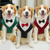 Three happy dogs in warm fleece tuxedos with bow ties sitting for a photo.