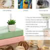 Natural wooden chew toys for pets including log shapes and wooden chew sticks.