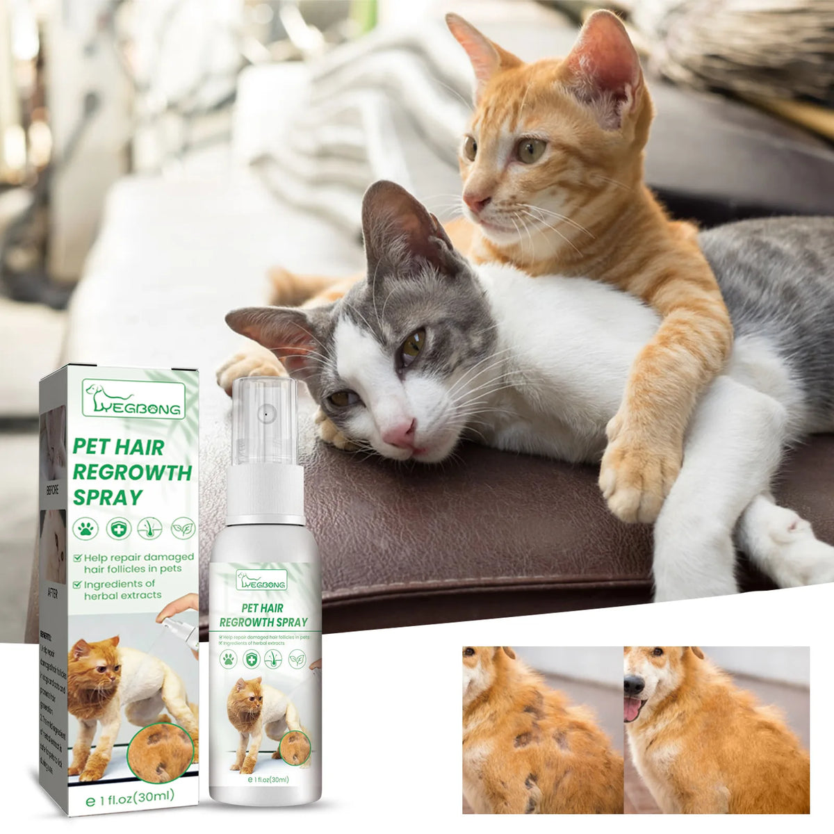 A tabby cat is resting on a brown surface next to a bottle of Pet Hair Regrowth Spray.