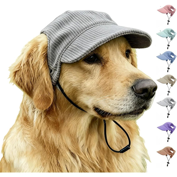 A golden retriever wearing a gray durable baseball cap, with several variations of the cap shown on the right.