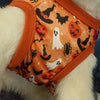 Un vestido naranja para perro con estampado de murciélagos y calabazas en un perro blanco peludo.