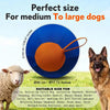 An orange interactive herding ball for dogs shown next to a sheep and a German Shepherd.