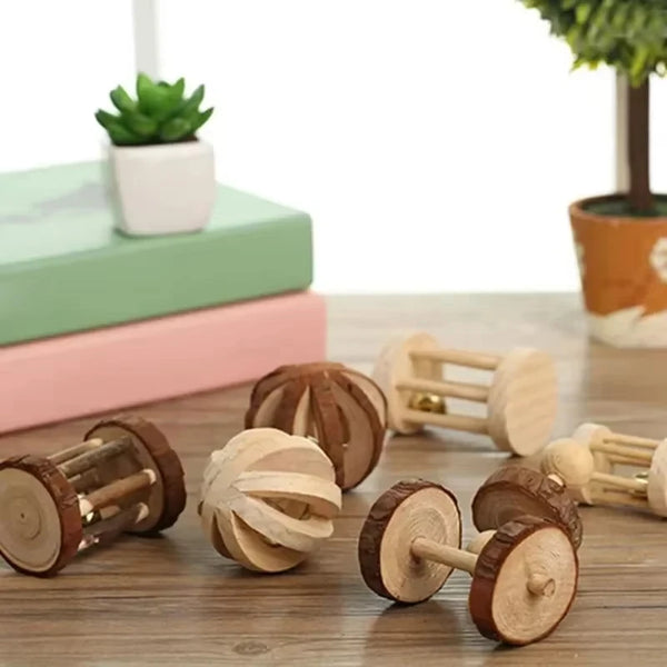 A collection of natural wooden chew toys and a potted succulent plant on a wooden surface.