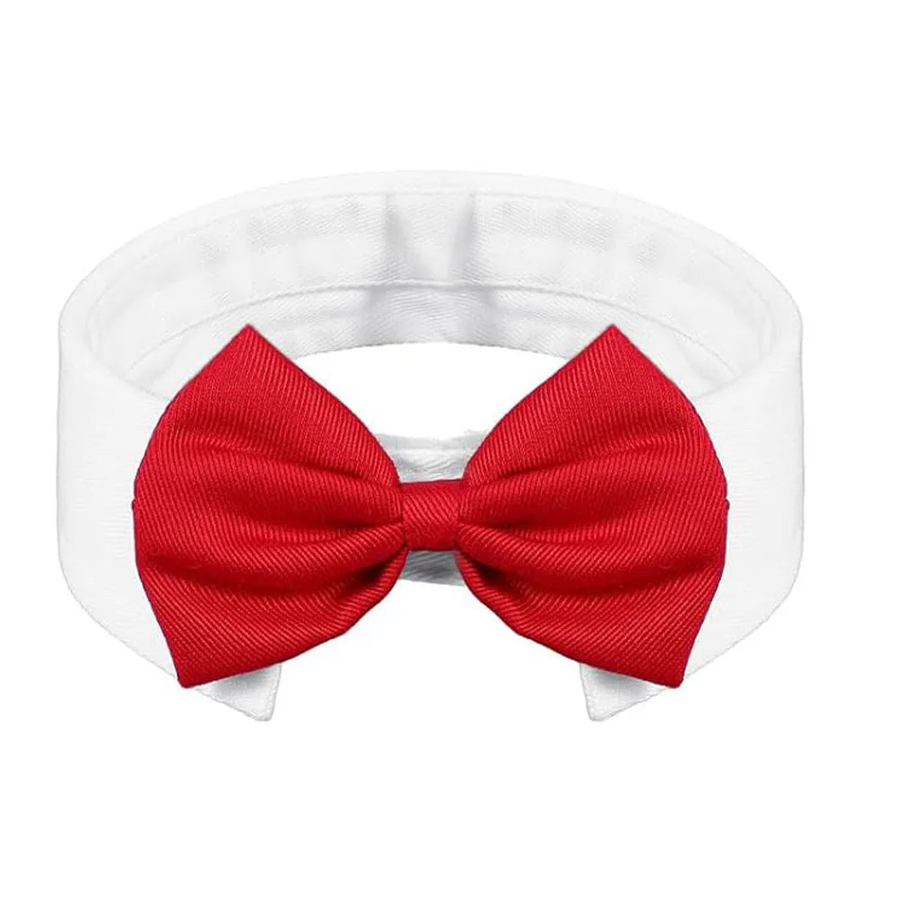White adjustable formal bow tie collar for cats and small dogs