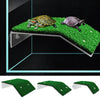 Plateforme de bain pour reptiles avec deux tortues sur de l'herbe artificielle verte.