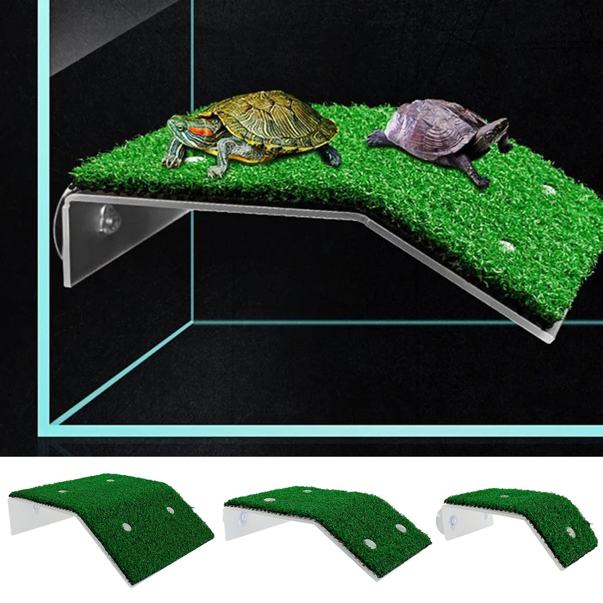 Plateforme de bain pour reptiles avec deux tortues sur de l'herbe artificielle verte.