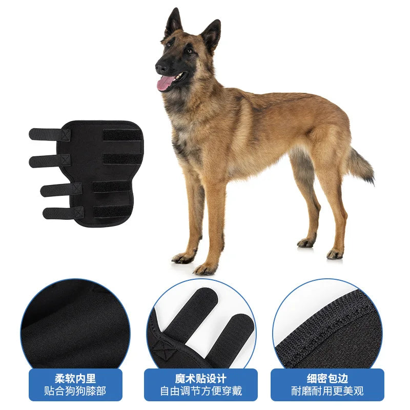 A brown dog standing next to a black pet joint support and rehabilitation tool.