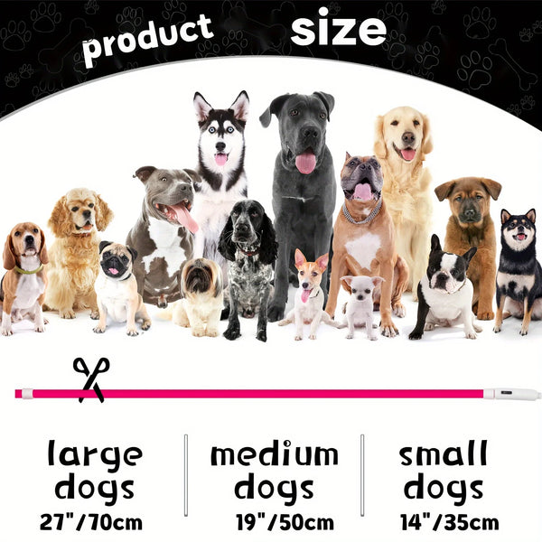 A collection of various dog breeds wearing luminous LED collars displayed in a row.
