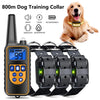 A black remote dog training collar with an LCD display and multiple attachments is shown next to a golden retriever.
