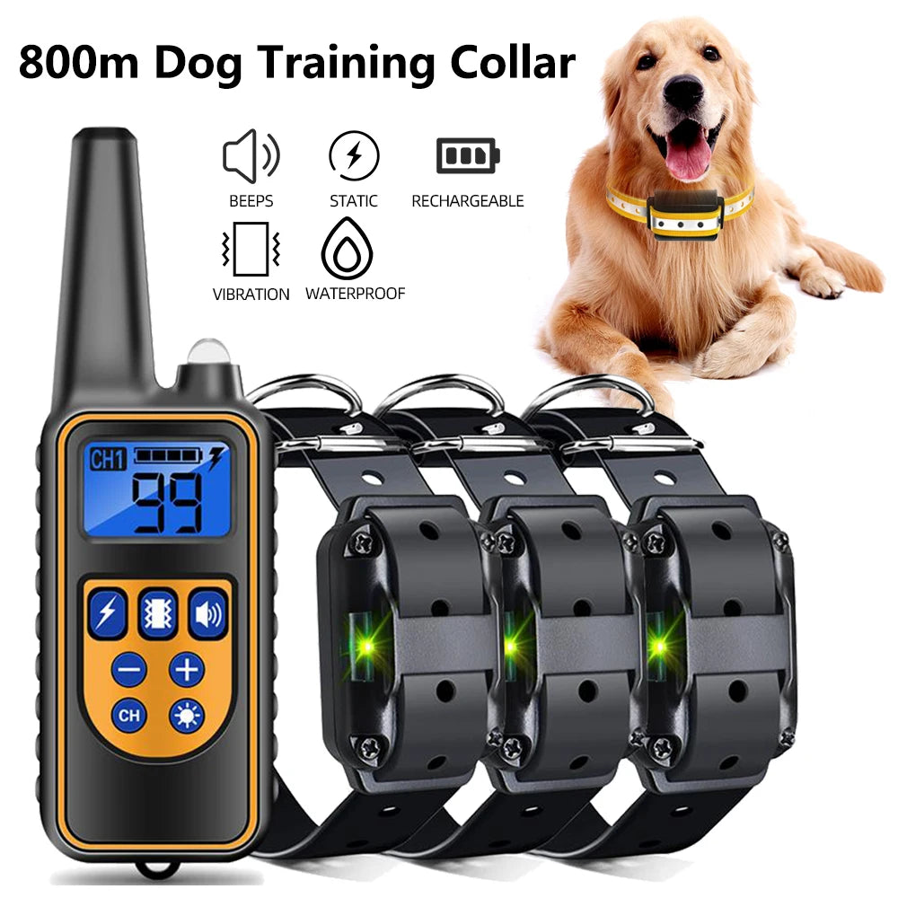 A black remote dog training collar with an LCD display and multiple attachments is shown next to a golden retriever.
