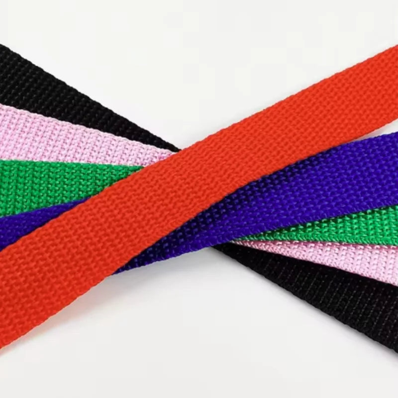 A colorful woven nylon dog training leash featuring stripes of pink, black, green, purple, and orange.
